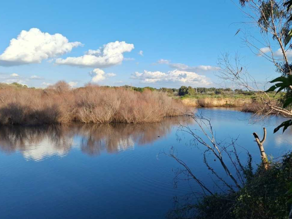 Nature Trails Around Netanya Poleg Wetland