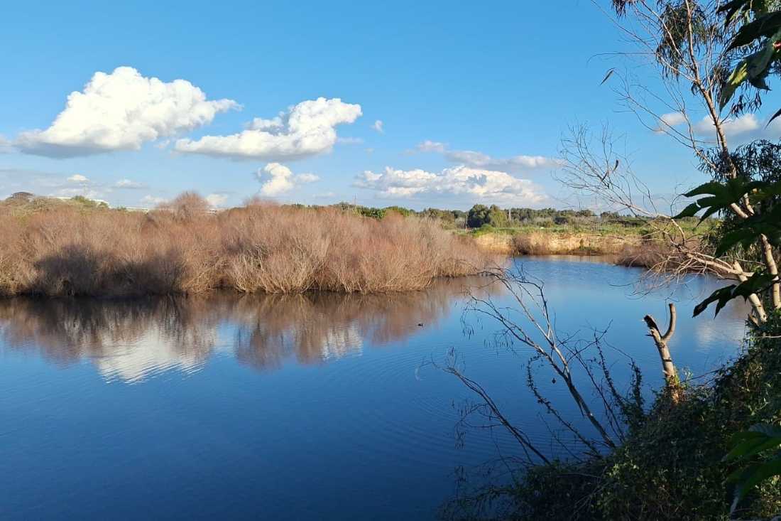 Nature Trails Around Netanya Poleg Wetland